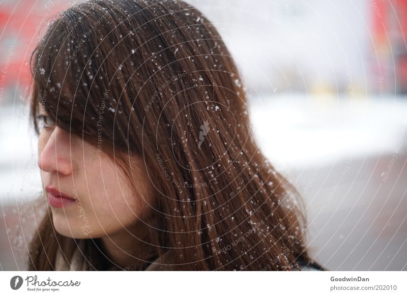 Woanders Mensch Junge Frau Jugendliche Kopf beobachten frieren kalt feminin Gefühle Zufriedenheit Tapferkeit Müdigkeit Farbfoto Außenaufnahme Morgendämmerung