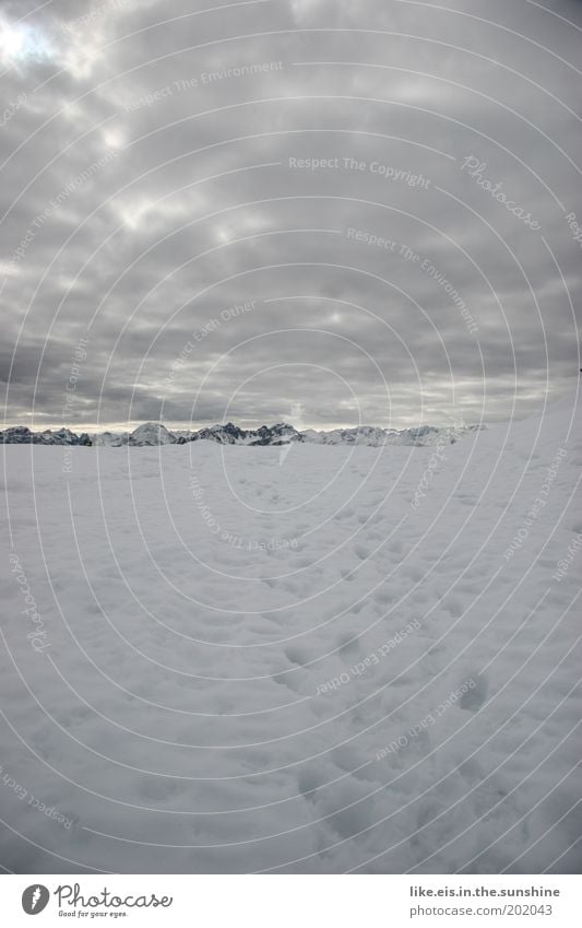 zwei spuren im schnee führ'n hinab aus steiler höh *sing* Winter Schnee Winterurlaub wandern Skipiste Pistenzauber Wolken Alpen Berge u. Gebirge Gipfel