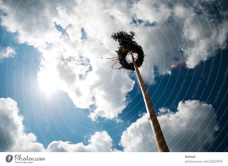 Maibaum 1. Mai Himmel Wolken Sonne Sonnenlicht Frühling Sommer Schönes Wetter Wärme Baum gigantisch groß Unendlichkeit hoch blau weiß flattern Wind