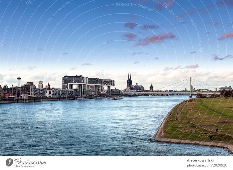 Köln Stadt Skyline Sehenswürdigkeit Wahrzeichen Dom natürlich Panorama (Aussicht) Severinsbrücke Kölner Dom Rhein Fluss Poller Wiesen Abenddämmerung Großstadt