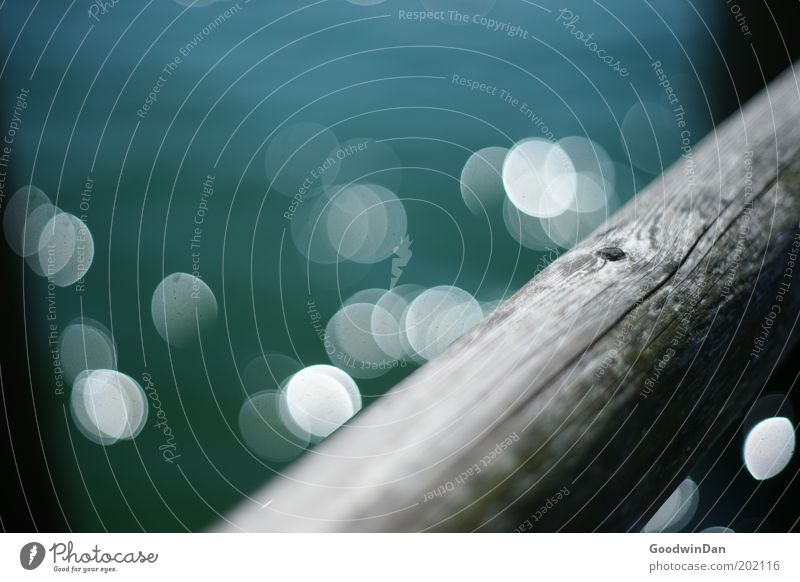 "Doch glaub mir, das Wasser glitzert" IV Natur Wetter Steg Holz entdecken außergewöhnlich schön Wärme Farbfoto Außenaufnahme Menschenleer Tag