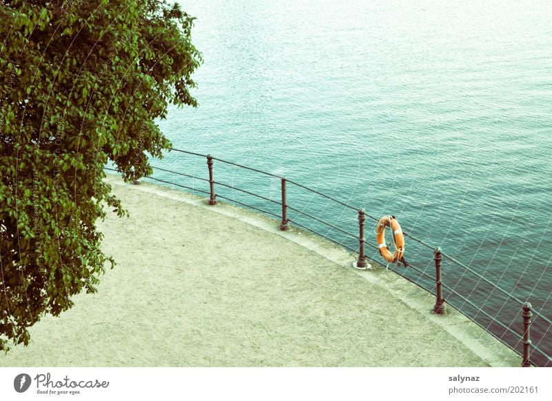 zero to one Sand Wasser Baum Flussufer Hamburg Alster Menschenleer Rettungsring nass blau grün Stimmung ruhig authentisch Einsamkeit Freiheit Ordnung Promenade