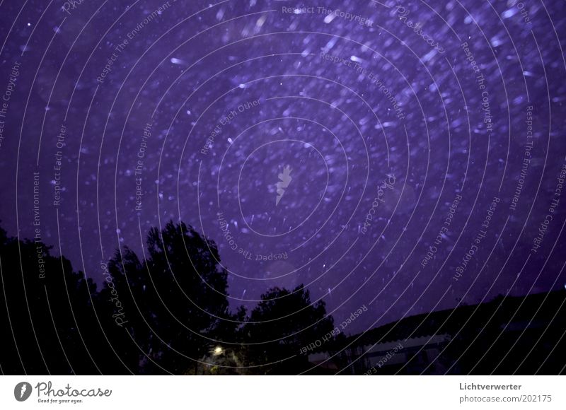 Regen in der Nacht Urelemente Wasser Wassertropfen Himmel Nachthimmel schlechtes Wetter Unwetter Wind Sturm violett schwarz Gedeckte Farben Außenaufnahme