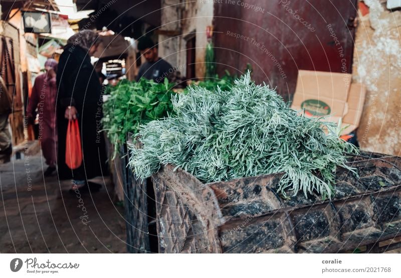 Souk Kräuter & Gewürze Dorf Fischerdorf Kleinstadt Altstadt Fußgängerzone Armut Markt Markttag Marokko Thymian Heilpflanzen Marktstand Orientalischer Bazar