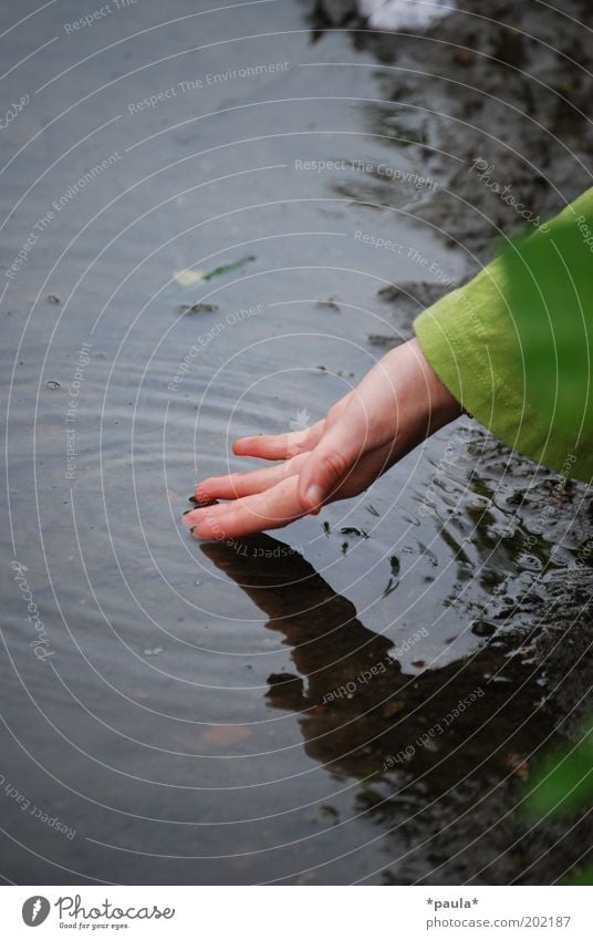 Flussmomente ruhig Hand 1 Mensch Natur Erde Wasser See Bach berühren Bewegung Erholung genießen träumen Traurigkeit frei einzigartig nass natürlich trist braun