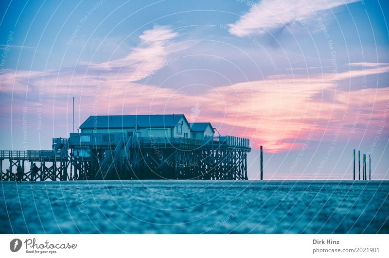 Abendstimmung im Wattenmeer Erholung Kur Ferien & Urlaub & Reisen Sonne Strand Meer Umwelt Natur Sand Schönes Wetter Küste Nordsee maritim Nordfriesland