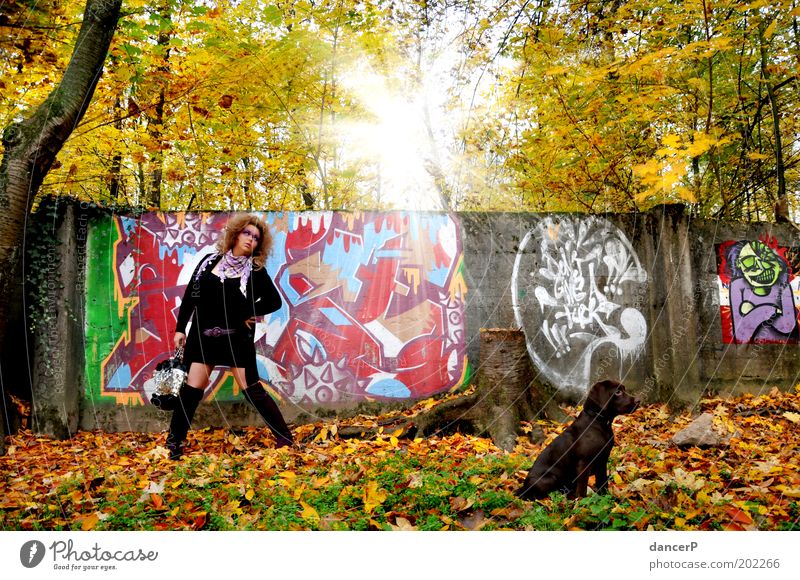 Crazy Girl goes Gassi Frau Dame Bekleidung Tasche Stiefel Hund Welpe Gassi gehen Spaziergang Wald Baum Mauer malen Malwerk Graffiti Kunst Sonne Herbst Haushund