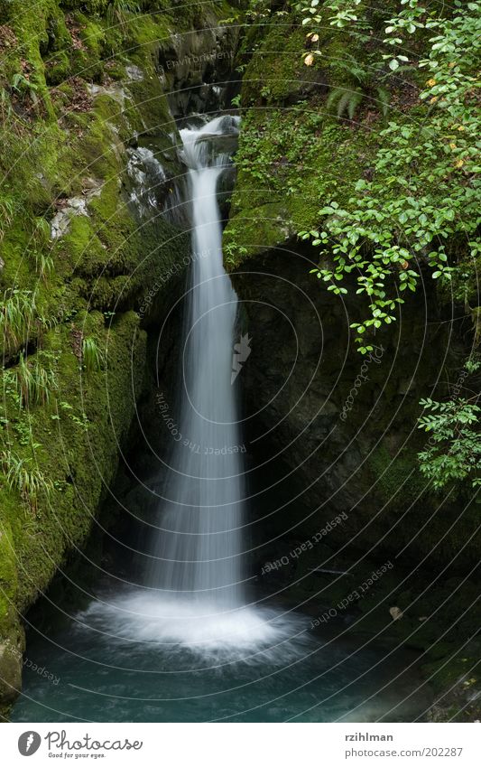 Kleiner Wasserfall Erholung ruhig Freizeit & Hobby Moos frisch klein nass blau grün beschaulich Mooswuchs Wasserrauschen Wasserspiel Wassersturz fließen