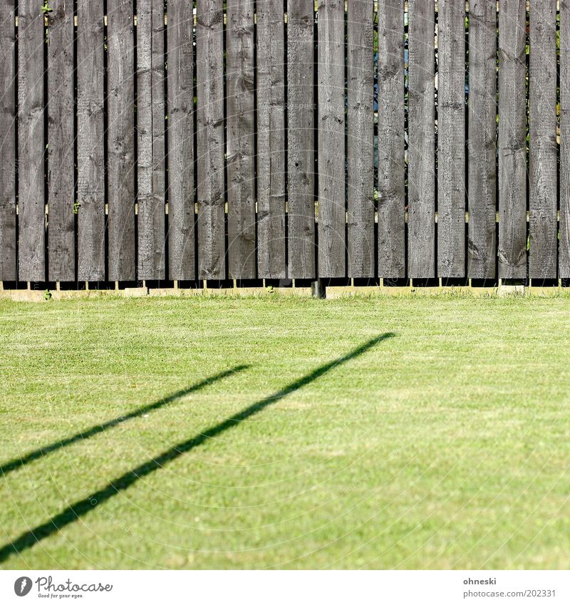 Gartenzaun Pflanze Gras Wiese Zaun Bretterzaun grün Farbfoto abstrakt Muster Strukturen & Formen Tag Licht Schatten Kontrast Sonnenlicht Zentralperspektive