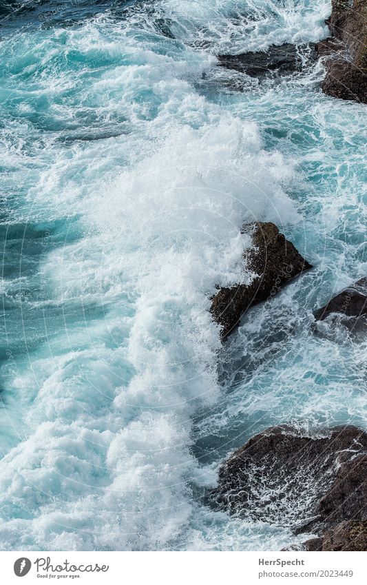 Splash Umwelt Natur Landschaft Urelemente Wellen Küste Meer Pazifik Sydney Stadtrand bedrohlich gigantisch maritim natürlich schön stark wild türkis weiß