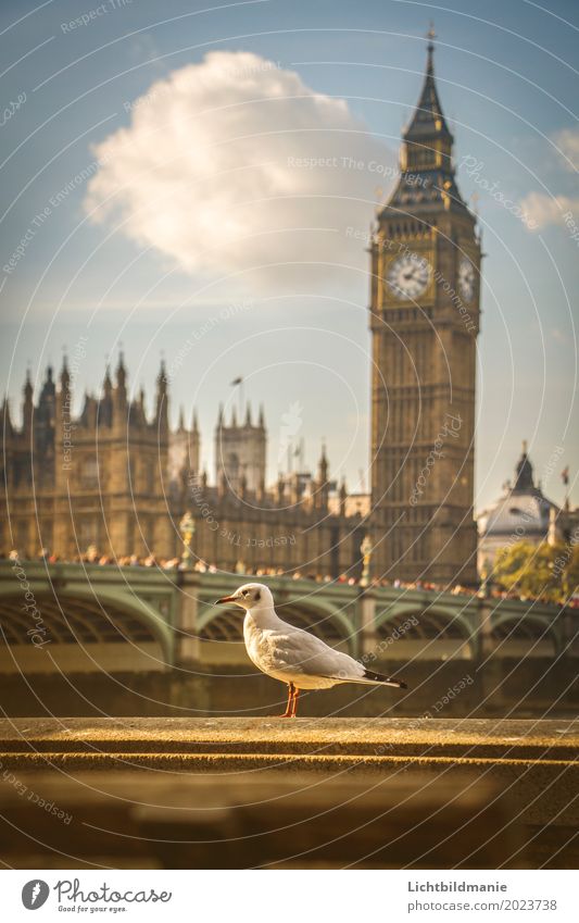 Stadtmöve in London Lifestyle Tourismus Sightseeing Städtereise Mensch Menschenmenge Himmel Flussufer Themse Themse Brücken Großbritannien Stadtzentrum