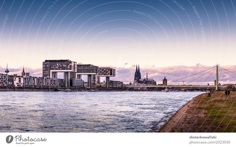 Panorama Köln Stadt Dom Sehenswürdigkeit Denkmal Brücke Binnenschifffahrt schön Severinsbrücke Kölner Dom Skyline Rhein Schifffahrt Abenddämmerung