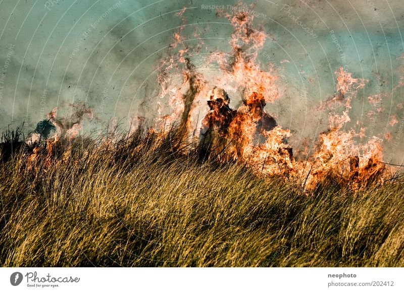 Deichbrand #3 Feuerwehr Feuerwehrmann Brand Luft Meer Nordsee Nordseeküste Stranddüne kämpfen dunkel gruselig Kraft gefährlich Stress bedrohlich Rauch löschen