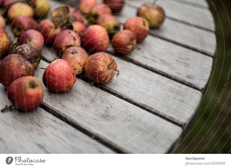 Bauernäpfel Lebensmittel Frucht Apfel Ernährung Bioprodukte Vegetarische Ernährung natürlich saftig sauer braun rot authentisch Holztisch Gedeckte Farben