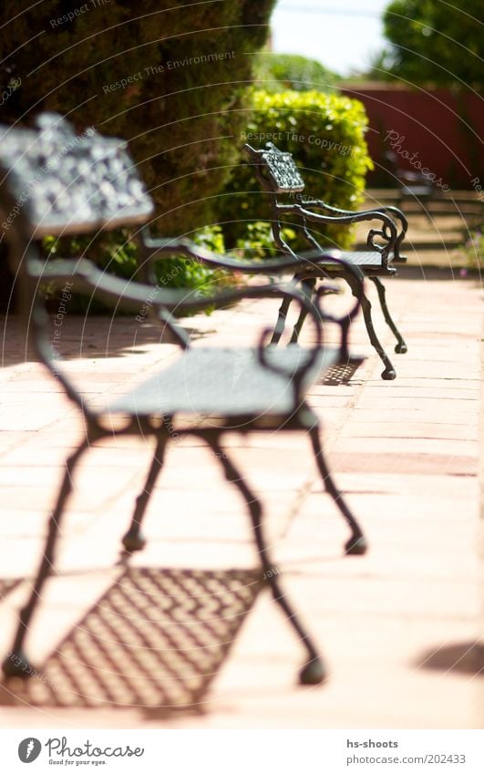 Plätze Frei in der Sonne Terrasse Terrakotta braun rot Farbfoto Außenaufnahme Menschenleer Tag Unschärfe Schwache Tiefenschärfe Park Schatten Metall Bank