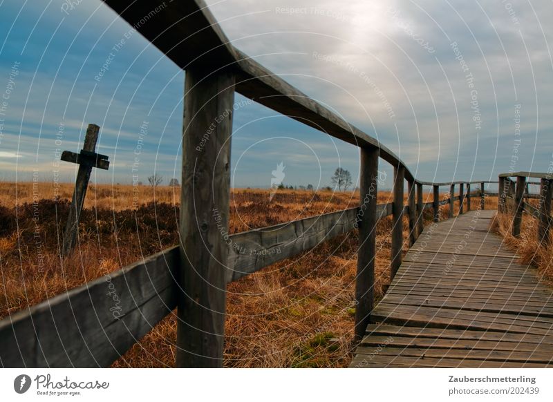 The Cross Natur Landschaft Horizont Wetter Gras Sträucher Moor Sumpf Kreuz ästhetisch demütig Tod Fernweh Einsamkeit Endzeitstimmung Erfahrung Inspiration