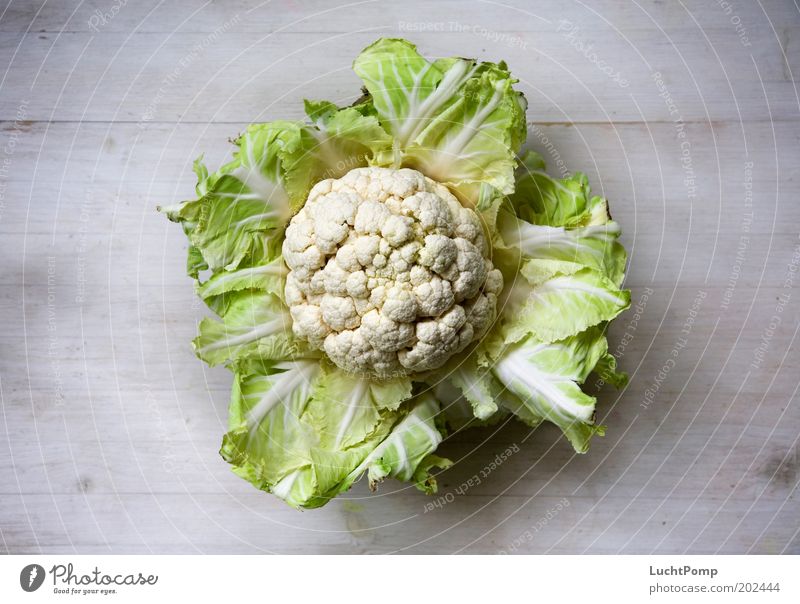 Gemüse-Fußball lecker Blumenkohl Kohlblätter Ernährung Gesundheit offen Holztisch weiß Maserung Strukturen & Formen frisch Vogelperspektive Kohlgewächse Geruch