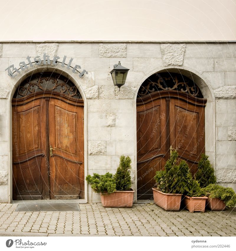 Ratskeller Mittagessen Abendessen Stil Wohlgefühl Zufriedenheit ausgehen Gastronomie Altstadt Fassade Tür Leistung ruhig Restaurant Kneipe Saison Eingang