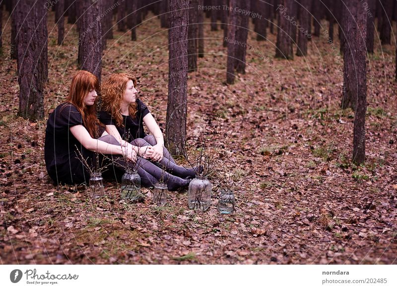 2 Kleid Strumpfhose rothaarig langhaarig Locken Stimmung schön Traurigkeit Sibirien Stille Schwester Wald Ast Abend Regen Herbst Grünpflanze Baum Nostalgie