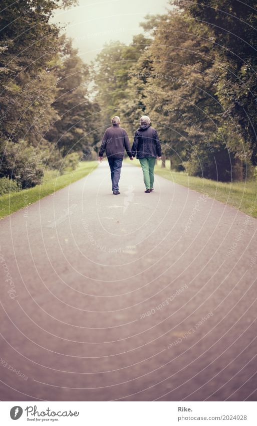 Gemeinsamer Lebensweg. Mensch Frau Erwachsene Mann Weiblicher Senior Männlicher Senior Eltern Großeltern Familie & Verwandtschaft Paar Partner 2 Park gehen