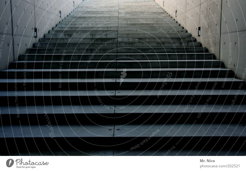 aufwärts Gebäude Architektur Treppe Ziel Betonmauer Stein Unendlichkeit grau abwärts aufsteigen kalt Menschenleer