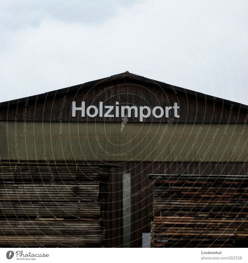 Holzimport Haus Hütte braun Holzbrett Holzwand Holzhaus Güterverkehr & Logistik Farbfoto Außenaufnahme Textfreiraum oben Tag Blick nach vorn Stapel Lagerhalle