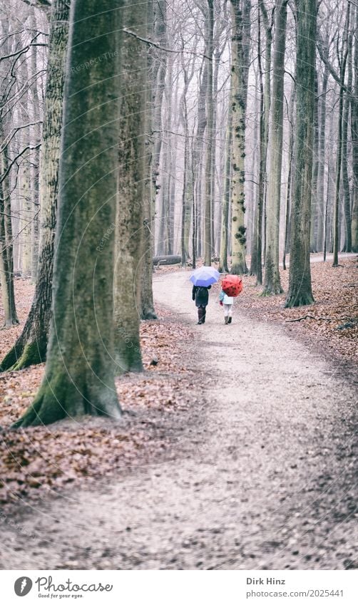 Walking in the rain II Paar 2 Mensch blau rot Freundschaft Partnerschaft Erholung Freizeit & Hobby Pause Schutz Umwelt Zusammenhalt trist Baum Wald Herbst