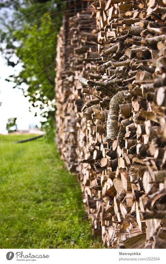 hölzern Natur Holz Holzstapel Brennholz Vorrat viele Stapel Farbfoto Außenaufnahme Tag Kontrast Zentralperspektive Brennstoff Schwache Tiefenschärfe