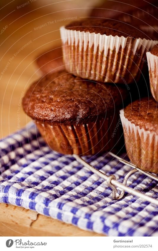 N Lebensmittel Teigwaren Backwaren Kuchen Dessert Süßwaren Schokolade Kaffeetrinken frisch lecker süß braun Muffin Kalorienreich Foodfotografie Farbfoto