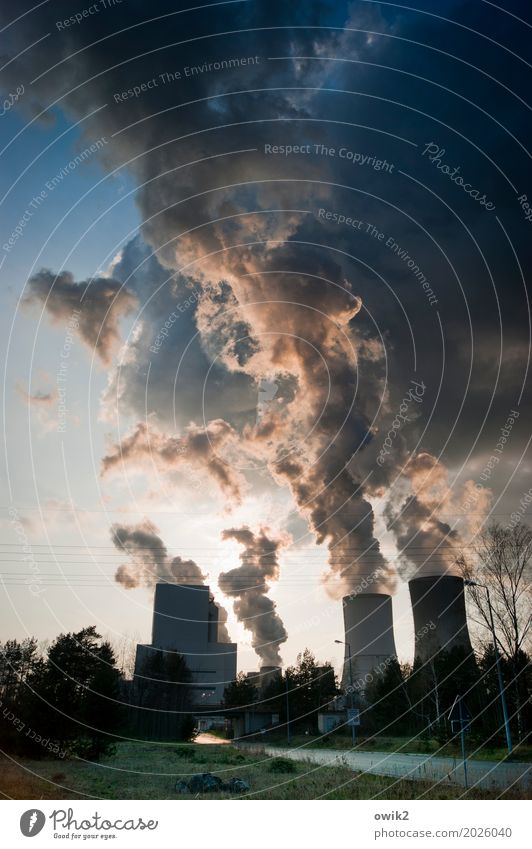 Kunstwolken Energiewirtschaft Kohlekraftwerk Pflanze Baum Gras Industrieanlage Stromkraftwerke Boxberg Deutschland Straße leuchten bedrohlich dreckig dunkel