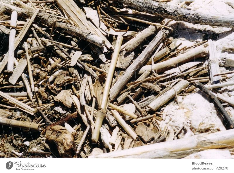 Treibgut Strandgut Holz Strukturen & Formen Meer Nahaufnahme Küste Angespühltes