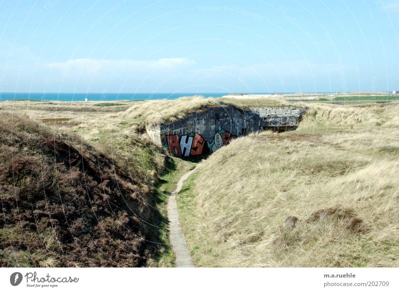 Bunker Ferien & Urlaub & Reisen Ausflug Sightseeing Strand Landschaft Sand Luft Himmel Schönes Wetter Hügel Küste Düne Dünengras Horizont Graffiti Jütland Beton