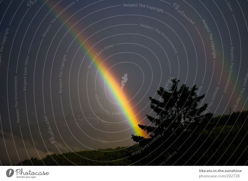 Der Schatz am Fuße des Regenbogens Berge u. Gebirge Himmel Wetter Baum Hügel Alpen patscherkofel Gipfel Schneebedeckte Gipfel ästhetisch außergewöhnlich dunkel