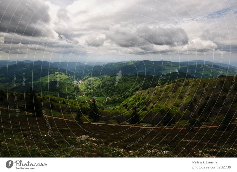 Abwärts Umwelt Natur Landschaft Berge u. Gebirge Hügel Schwarzwald Baum Aussicht Wolken dunkel Regen hoch grün Wege & Pfade Ferne genießen ruhen Erholung