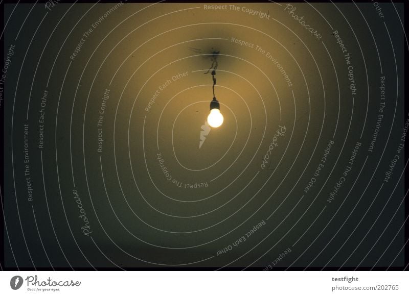 licht Energiewirtschaft Häusliches Leben Glühbirne Elektrizität Lampe Licht leuchten Halterung Decke Innenaufnahme Lomografie Kunstlicht Raum kahl trist