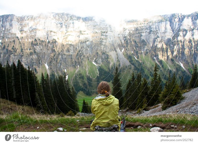 Aura Mensch Frau Erwachsene 1 Natur Landschaft Sommer Berge u. Gebirge wandern grau grün Schweiz Berner Oberland sitzen Nadelbaum Aussicht Panorama (Aussicht)