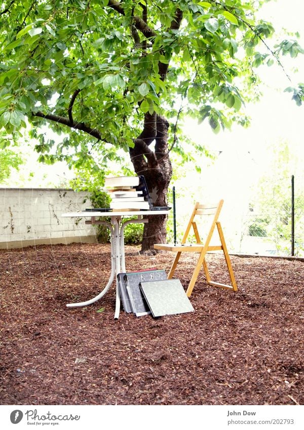 Plein-Air-Studieren Bildung lernen Studium Arbeitsplatz Sommer Schönes Wetter Baum Sträucher Garten Schreibwaren Aktenordner nachhaltig Natur Luft Klappstuhl