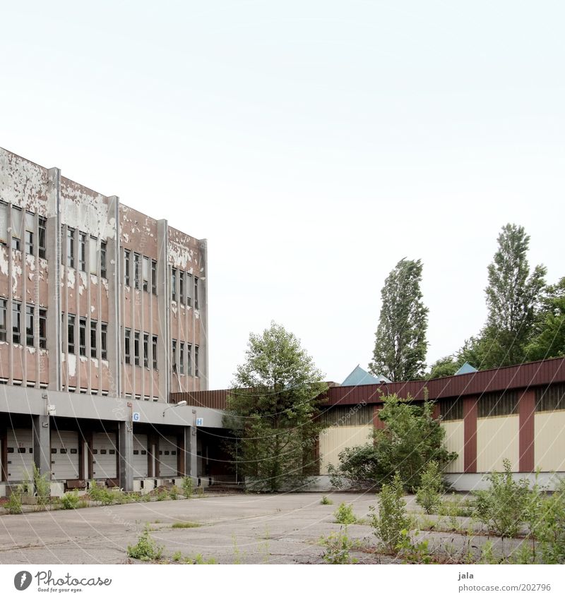 stillgelegt II Himmel Baum Sträucher Stadtrand Haus Industrieanlage Fabrik Platz Bauwerk Gebäude Architektur Fenster trist Farbfoto Außenaufnahme Menschenleer