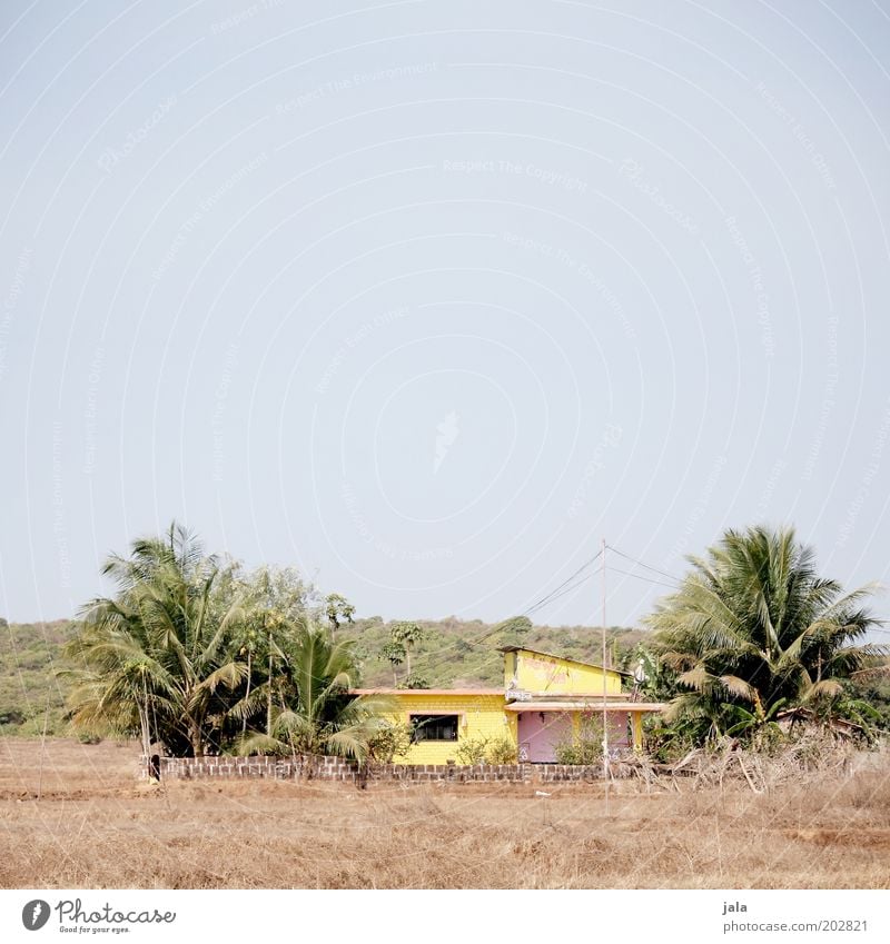 ferienwohnung Himmel Baum Gras Sträucher Palme Goa Indien Asien Dorf Menschenleer Haus Bauwerk Gebäude Antenne hell blau gelb Farbfoto Außenaufnahme