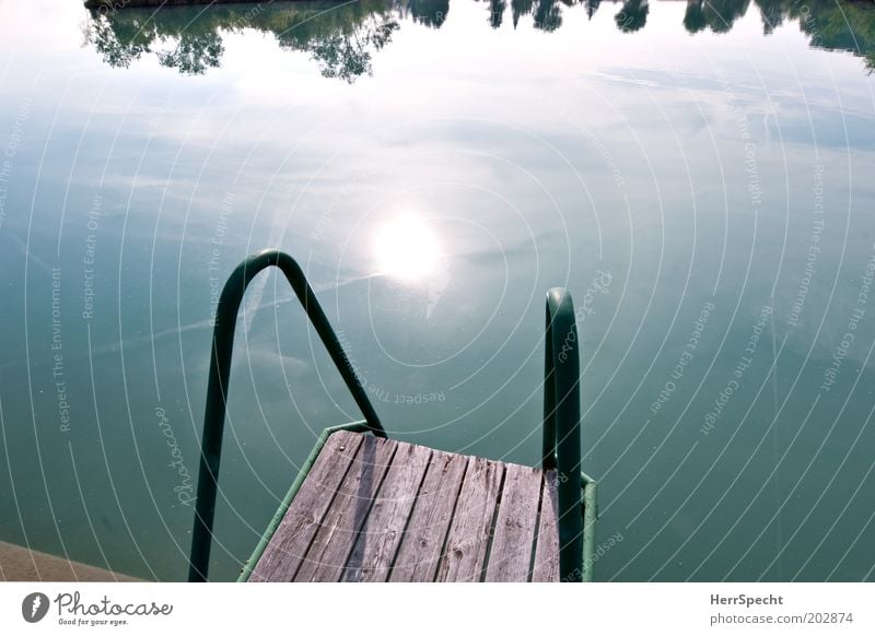 Startrampe Sommer Sonne Teich See blau grün Steg Holzplanken Wasser Farbfoto Gedeckte Farben Außenaufnahme Textfreiraum links Textfreiraum rechts Morgen Licht