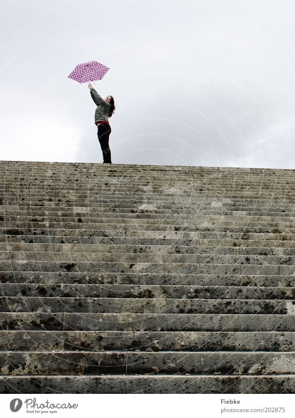 ausFlug Ausflug feminin Junge Frau Jugendliche 1 Mensch Treppe Stein Glück einzigartig grau violett Freude träumen Hoffnung Horizont Idee Lebensfreude