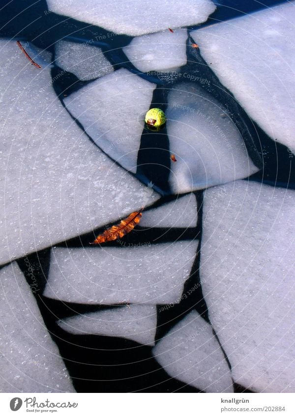 Bruchstücke Umwelt Natur Urelemente Wasser Winter Eis Frost Blatt Flussufer Tennisball braun gelb schwarz weiß kalt Eisscholle Farbfoto Gedeckte Farben