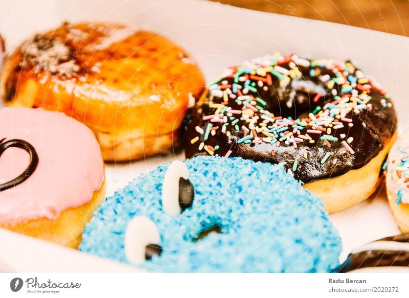 Lustige bunte Donuts im Kasten Lebensmittel Teigwaren Backwaren Dessert Süßwaren Schokolade Ernährung Essen Fastfood Fressen füttern frisch lecker lustig rund