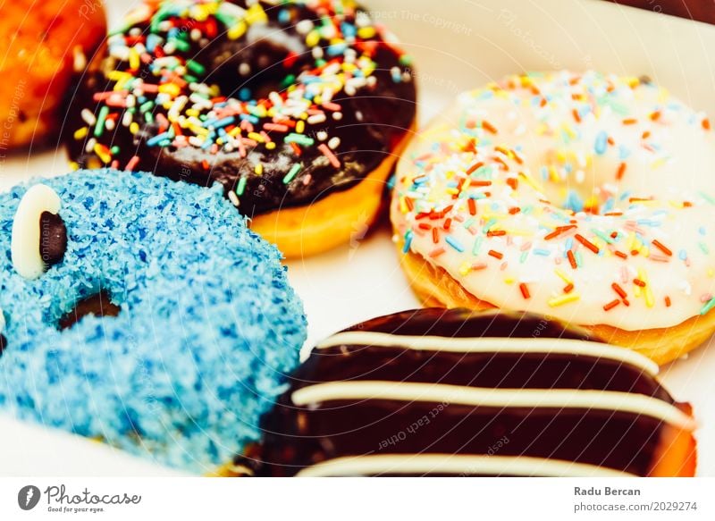 Lustige bunte Donuts im Kasten Lebensmittel Teigwaren Backwaren Dessert Süßwaren Ernährung Essen Frühstück Fastfood Fressen füttern frisch lecker lustig