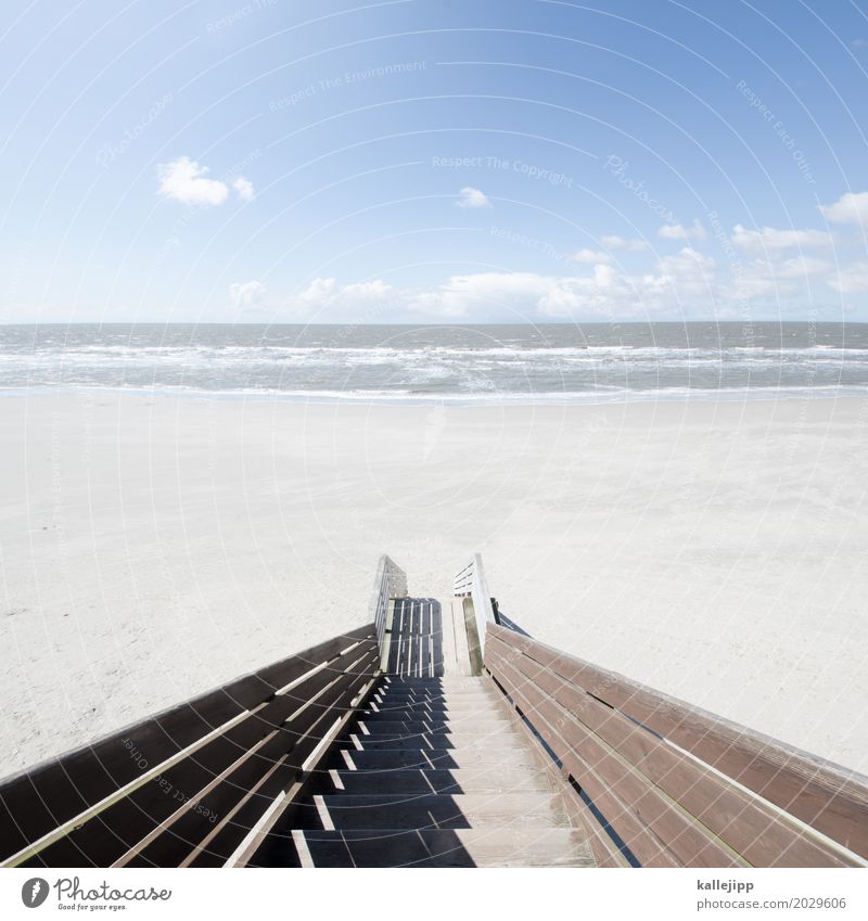 stairway to heaven Lifestyle Umwelt Natur Landschaft Luft Wasser Himmel Wolkenloser Himmel Horizont Schönes Wetter Wellen Küste Strand Nordsee Meer Haus Hütte