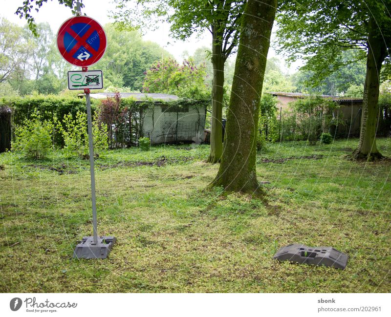 who cares Baum Park PKW Parkverbot Halteverbot Schilder & Markierungen Hinweis Hinweisschild Unsinn Farbfoto Außenaufnahme Gartenkolonie Rasen