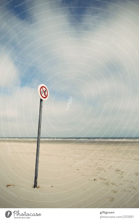 verboten Sommer Umwelt Natur Landschaft Himmel Wolken Horizont Küste Strand Nordsee Langeoog Verkehrszeichen Verkehrsschild Hund Tierpaar Ordnung Verbote