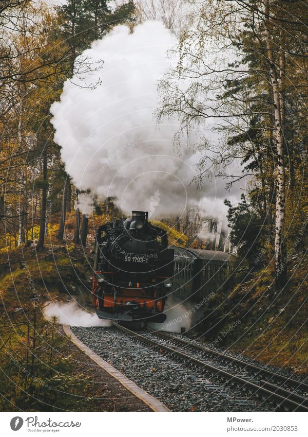 tufftuff Verkehr Verkehrswege Personenverkehr Bahnfahren alt Lokomotive Wasserdampf Gleise Eisenbahn Dampflokomotive Wald Eisenbahner Eisenbahnschwelle