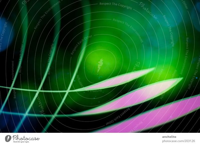 Reflektion Kunst Ornament Linie Netz ästhetisch eckig blau mehrfarbig grün rosa schwarz Farbe abstrakt geschwungen Strukturen & Formen Reflexion & Spiegelung