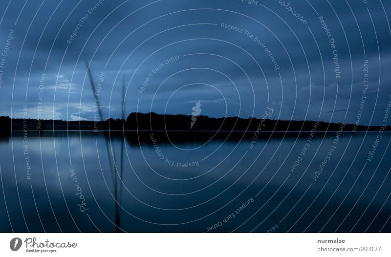 Stille am See Ferne Sommer Klima Schönes Wetter Wald Seeufer Flussufer Havel Dorf ästhetisch Unendlichkeit wild Gefühle Perspektive ruhig Gedeckte Farben